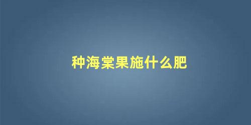 种海棠果施什么肥 海棠果什么时候成熟