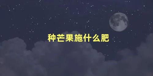 种芒果施什么肥 芒果树什么季节施肥合适