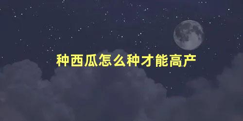 种西瓜怎么种才能高产 怎样种西瓜苗