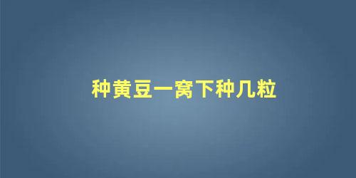 种黄豆一窝下种几粒 黄豆一株留几棵苗