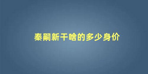 秦嗣新干啥的多少身价 秦嗣新个人简介