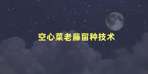 空心菜老藤留种技术 空心菜老根怎么保留第二年种