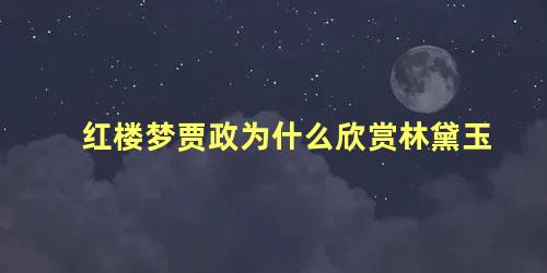 红楼梦贾政为什么欣赏林黛玉