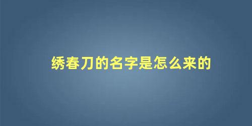 绣春刀的名字是怎么来的