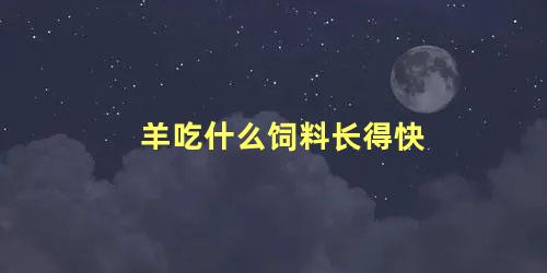 羊吃什么饲料长得快