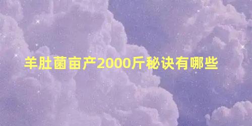 羊肚菌亩产2000斤秘诀有哪些 羊肚菌亩产多少斤