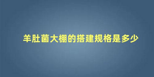 羊肚菌大棚的搭建规格是多少 大棚种植羊肚菌的管理方法