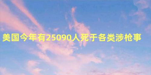 美国今年有25090人死于各类涉枪事件