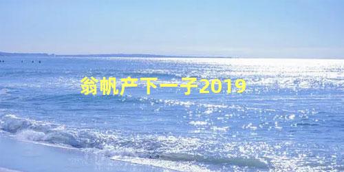 翁帆产下一子2019 杨振宁和翁帆生孩子了吗