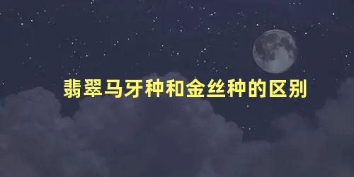 翡翠马牙种和金丝种的区别