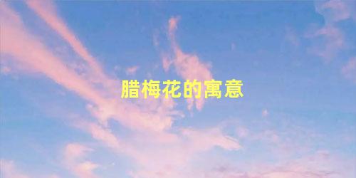 腊梅花的寓意