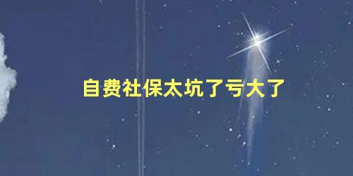 自费社保太坑了亏大了 社保为何那么多人弃缴