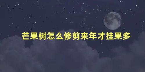 芒果树怎么修剪来年才挂果多 芒果树剪枝技术要点