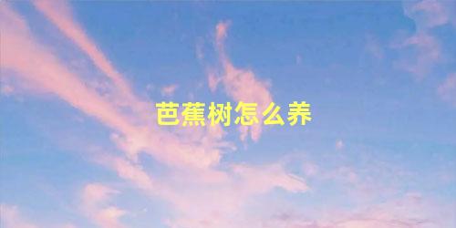 芭蕉树怎么养 芭蕉树喜阴还是喜阳