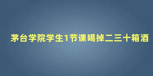 茅台学院学生1节课喝掉二三十箱酒，趁同学睡