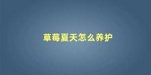 草莓夏天怎么养护 夏天草莓容易被晒死吗