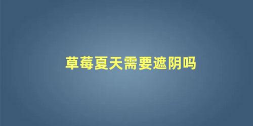 草莓夏天需要遮阴吗 草莓多少度要遮阳