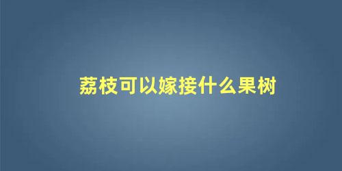 荔枝可以嫁接什么果树 荔枝树嫁接方法