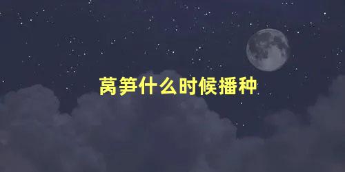 莴笋什么时候播种 莴笋一年四季都可以种吗