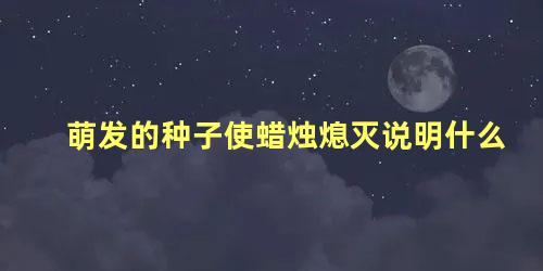 萌发的种子使蜡烛熄灭说明什么