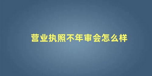 营业执照不年审会怎么样