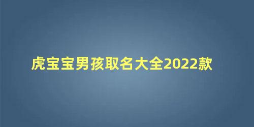 虎宝宝男孩取名大全2022款