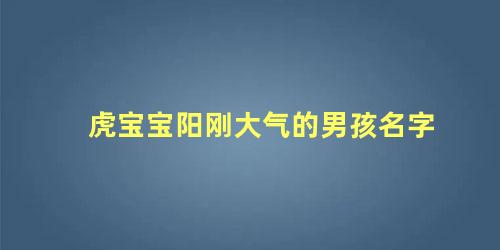 虎宝宝阳刚大气的男孩名字