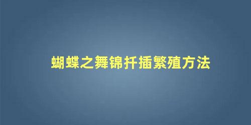 蝴蝶之舞锦扦插繁殖方法 蝴蝶梅剪下泡水能生根吗