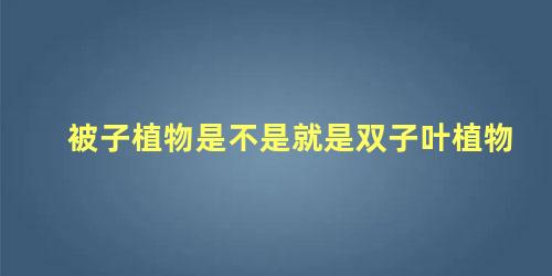 被子植物是不是就是双子叶植物 被子植物都是双子叶吗