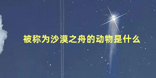 被称为沙漠之舟的动物是什么 沙漠之舟相应的动物是什么