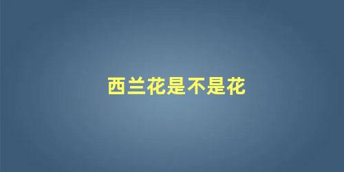 西兰花是不是花 西兰花属于果实还是花