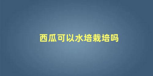 西瓜可以水培栽培吗 西瓜水培教程