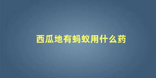 西瓜地有蚂蚁用什么药 西瓜花上有蚂蚁怎么回事