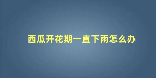 西瓜开花期一直下雨怎么办 种植西瓜遇雨季怎么办