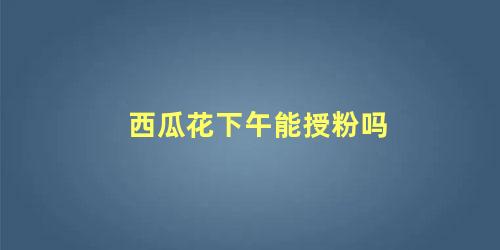 西瓜花下午能授粉吗 西瓜花怎么授粉