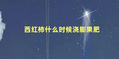 西红柿什么时候浇膨果肥 西红柿施肥的正确方法