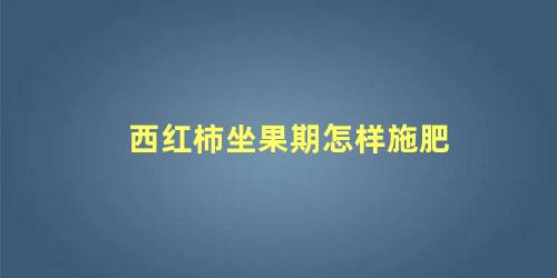 西红柿坐果期怎样施肥，西红柿膨果期怎么样施肥才能高产