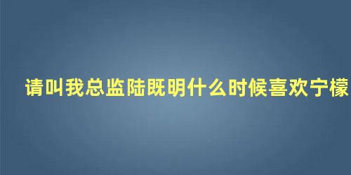 请叫我总监陆既明什么时候喜欢宁檬