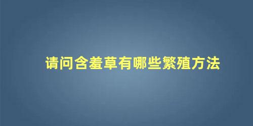 请问含羞草有哪些繁殖方法 含羞草有什么特点