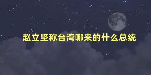 赵立坚称台湾哪来的什么总统