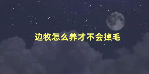 边牧怎么养才不会掉毛 边牧冬天掉毛怎么办