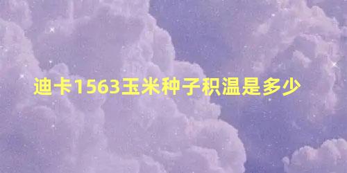 迪卡1563玉米种子积温是多少 迪卡1563一亩几千株