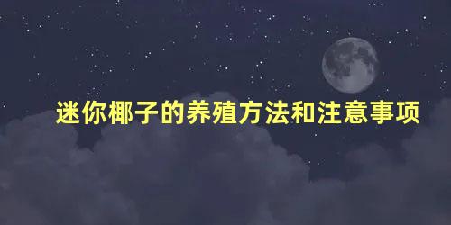 迷你椰子的养殖方法和注意事项