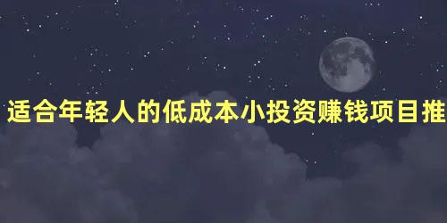 适合年轻人的低成本小投资赚钱项目推荐，利润