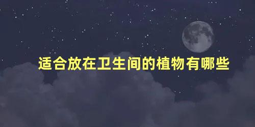 适合放在卫生间的植物有哪些 什么绿植适合放在卫生间