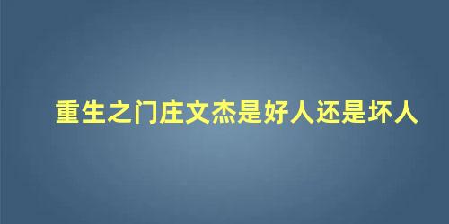 重生之门庄文杰是好人还是坏人，重生之门小说