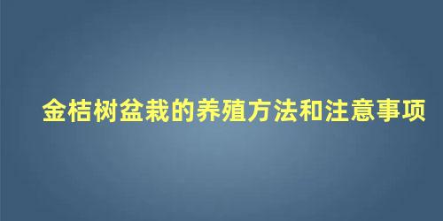 金桔树盆栽的养殖方法和注意事项 金桔树不长新叶怎么办