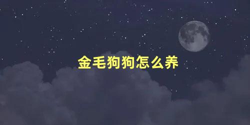 金毛狗狗怎么养，为什么男的不能养金毛