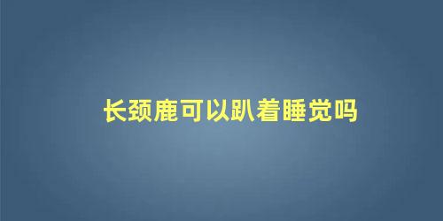 长颈鹿可以趴着睡觉吗 长颈鹿是站着睡觉的