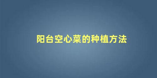 阳台空心菜的种植方法 花盆种空心菜的方法和步骤